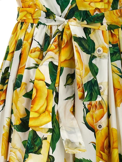 Shop Dolce & Gabbana 'rose Gialle' Dress In Multicolor