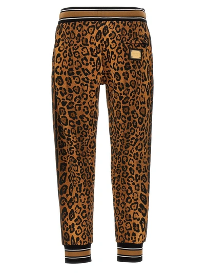 Dolce & Gabbana Animalier Joggers Pants Multicolor In Multicolor