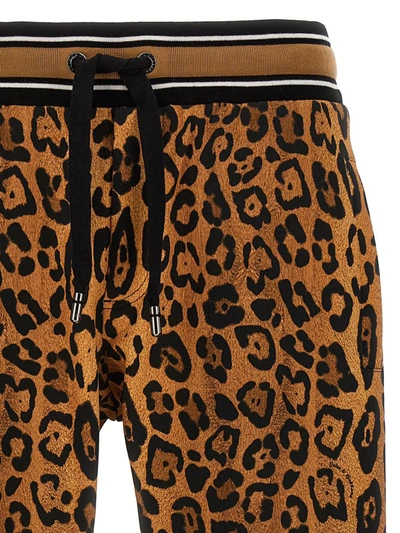Dolce & Gabbana Animalier Joggers Pants Multicolor In Multicolor