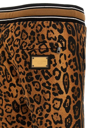 Dolce & Gabbana Animalier Joggers Pants Multicolor In Multicolor