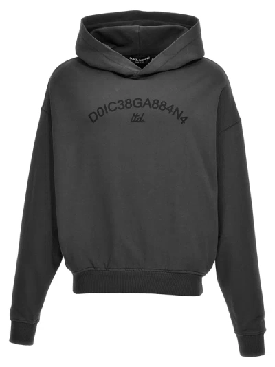 Shop Dolce & Gabbana Logo Print Hoodie Sweatshirt In Gray