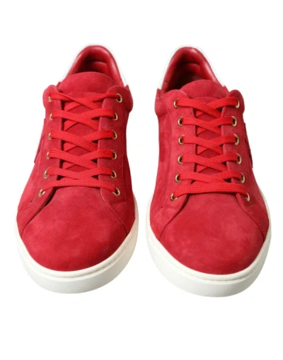 Shop Dolce & Gabbana Elegant Red & White Low Top Men's Sneakers In White And Red