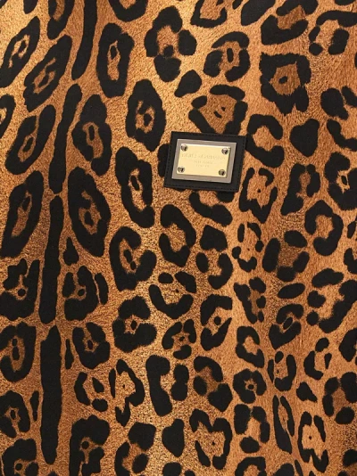 Shop Dolce & Gabbana Leopard Print T-shirt Brown