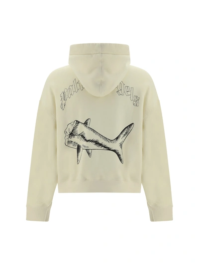 Shop Palm Angels Organic Cotton Sweatshirt With Shark Embroidery