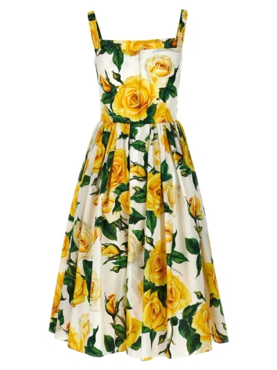 Shop Dolce & Gabbana Rose Gialle Dresses Multicolor
