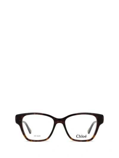 Shop Chloé Eyeglasses In Havana