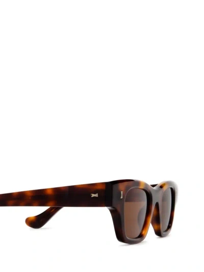 Shop Cubitts Cubitts Sunglasses In Dark Turtle