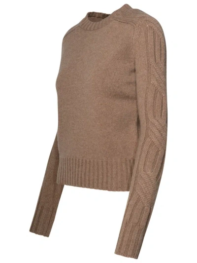 Shop Max Mara Mud Cashmere Sweater In Beige