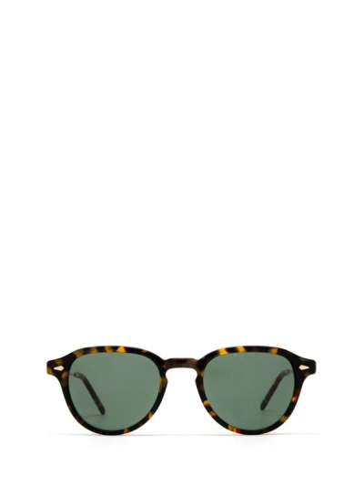 Shop Moscot Sunglasses In Tortoise / Gold (g15)