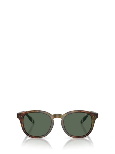 Shop Polo Ralph Lauren Sunglasses In Shiny Brown Tortoise