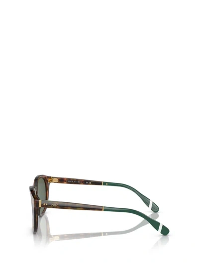 Shop Polo Ralph Lauren Sunglasses In Shiny Brown Tortoise