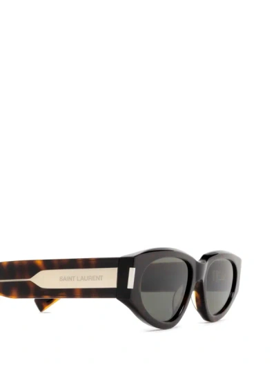 Shop Saint Laurent Eyewear Sunglasses In Havana