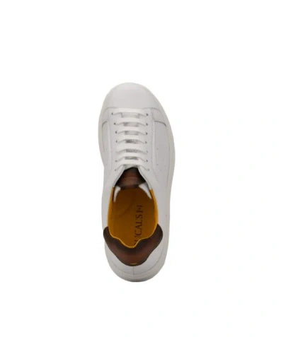 Shop Doucal's Sneakers In Bianco/marrone