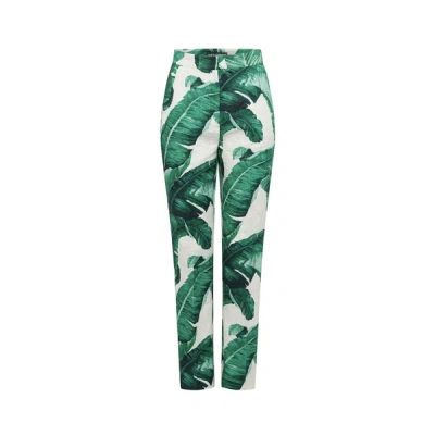 Shop Dolce & Gabbana Banana Leaf Trousers In Green