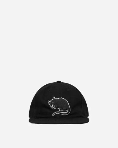 Shop Stray Rats Rat Logo Fitted Hat In Black