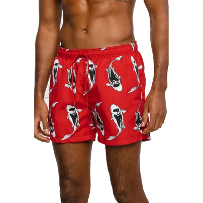 Hugo Boss Men's Red Fish Animal Print Swim Shorts Trunks In Red