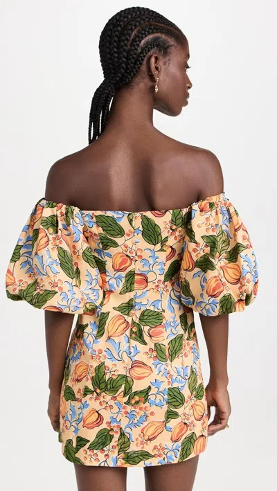 Rhode Women's 100% Linen Mini Dali Dress, Capri Orchard, Orange, Floral Mini In Blue