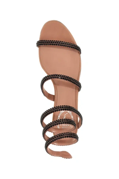 Shop René Caovilla Women 'cleo' Sandals In Black