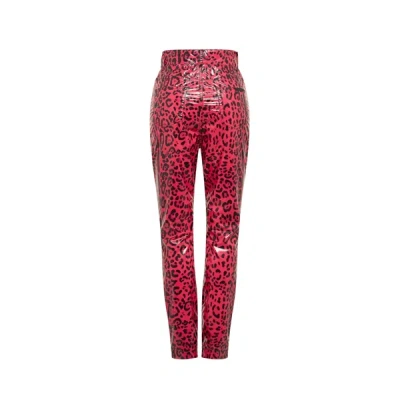 Shop Dolce & Gabbana Leopard Skinny Pants