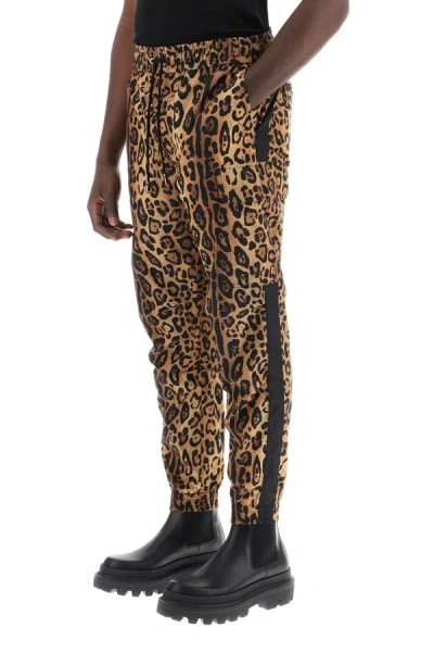 Shop Dolce & Gabbana Leopard Print Nylon Jogger Pants For