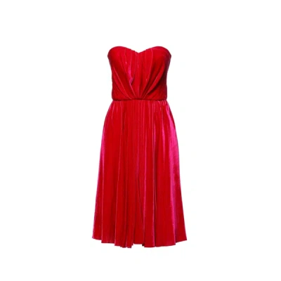 Shop Dolce & Gabbana Velvet Dress