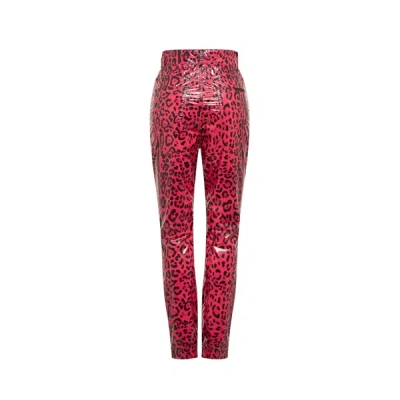 Shop Dolce & Gabbana Leopard Skinny Pants