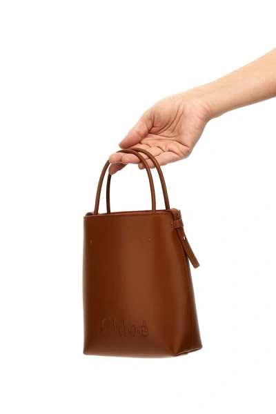 Shop Chloé Women 'micro Chloe Sense' Bucket Bag In Brown
