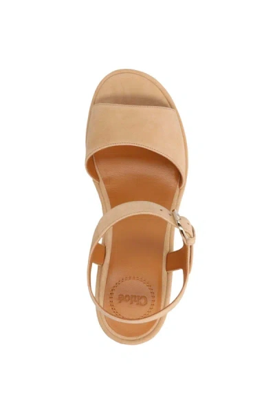 Shop Chloé Women 'odina' Sandals In Cream