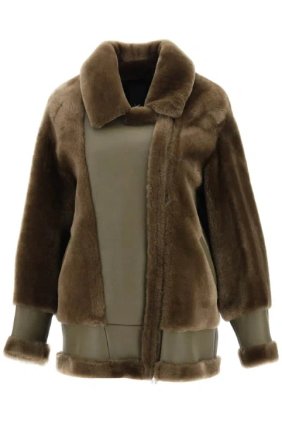 Shop Blancha Shearling Jacket In Brown
