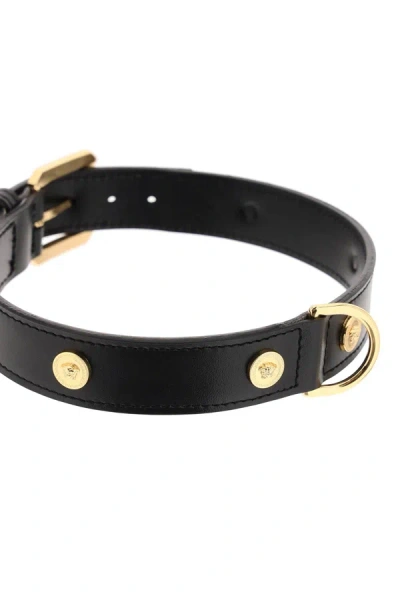 Shop Versace Leather Collar With Medusa Studs - Large Women In Black