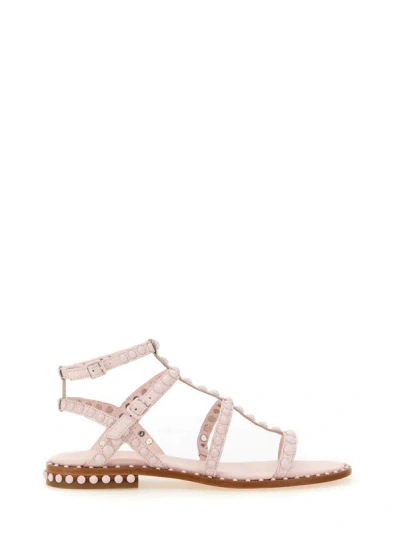 Shop Ash Studded Sandal In Pink