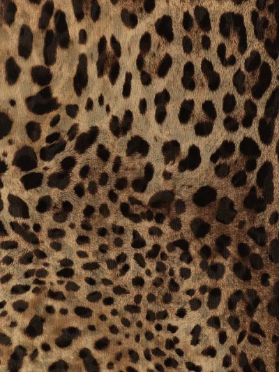Shop Dolce & Gabbana 'leopard' Scarf In Multicolor
