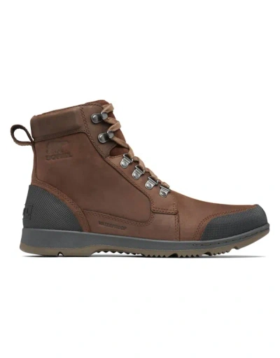 Shop Sorel Men's Ankeny Ii Hiker Wp Boot In Brown/black In Multi