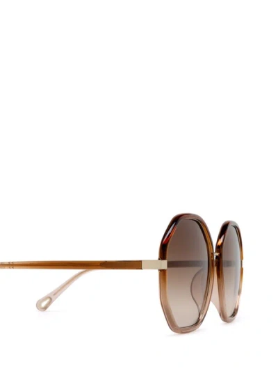 Shop Chloé Sunglasses In Brown