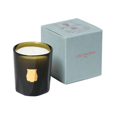 Shop Trudon Gabriel Candle In 2.5 oz (petite)