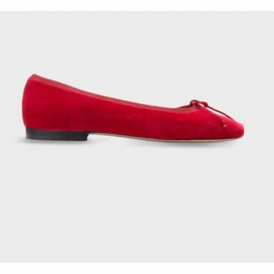 Shop Ann Mashburn Women's Square Toe Velvet Ballet Shoe In Red