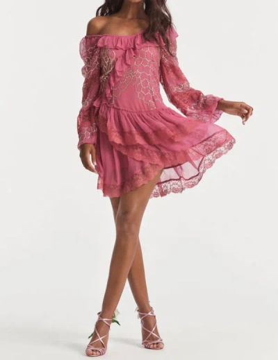 Shop Loveshackfancy Angora Mini Dress In Wild Rose In Pink