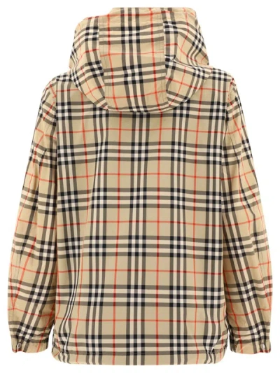 Shop Burberry Everton Jacket Clothing In Brown