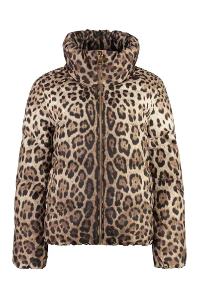 Shop Dolce & Gabbana Leopard Print Short Down Jacket In Beige