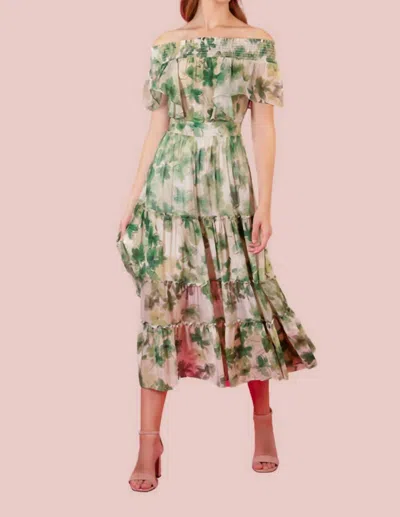 Shop Jessie Liu Birmingham Dress In Green Floral