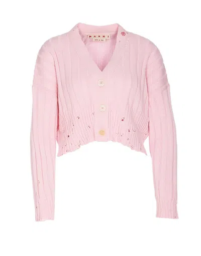 Shop Marni Sweaters In Rosa