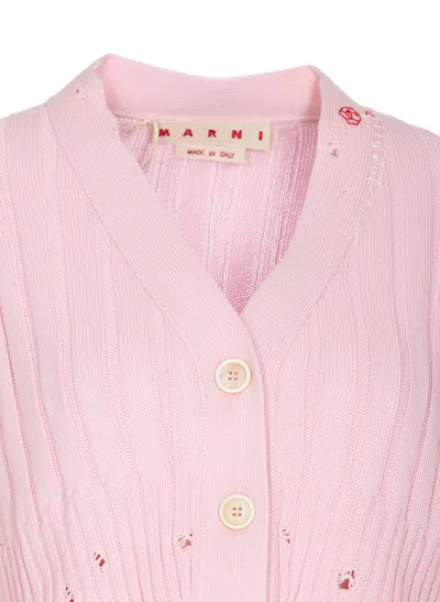 Shop Marni Sweaters In Rosa