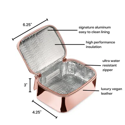 Shop Wellinsulated Performance Mini Travel Case In Rose Gold