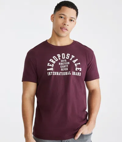 Shop Aéropostale Arch Flocked Graphic Tee In Multi
