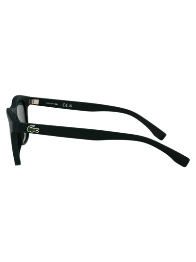 Shop Lacoste Sunglasses In 315 Matte Green