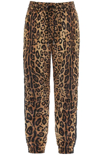 Shop Dolce & Gabbana Leopard Print Nylon Jogger Pants For Men In Multicolor