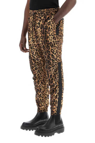 Shop Dolce & Gabbana Leopard Print Nylon Jogger Pants For Men In Multicolor