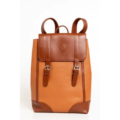 Shop Trussardi Brown Leather Backpack