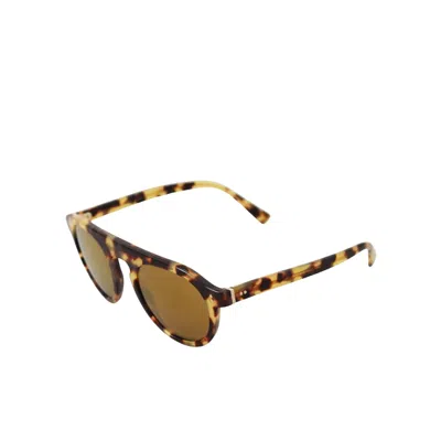 Shop Dolce & Gabbana Light Havana Sunglasses