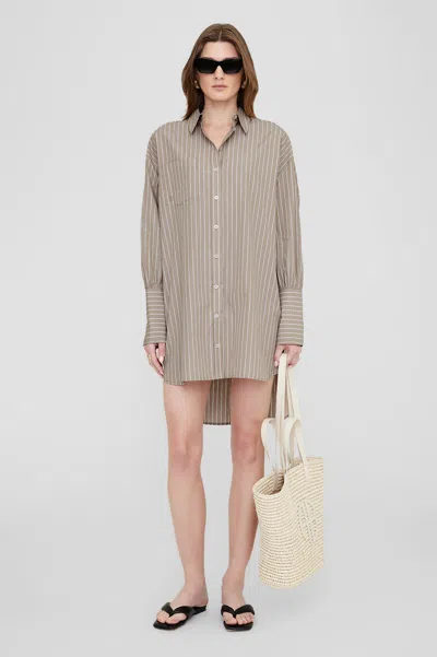 Shop Anine Bing Lake Dress In Taupe And White Stripe